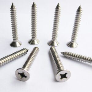 Vít gỗ Inox đầu bằng